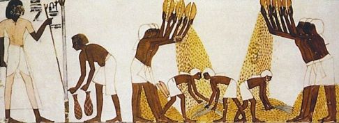 egipcio-produccion-pan