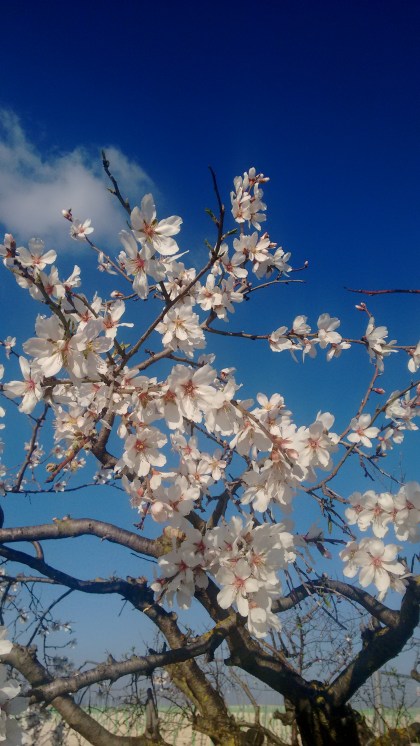 img_20180210_163633539