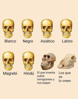 69396974_471005013754239_4749477425505632256_n